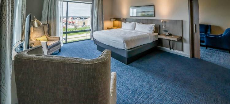 麦迪逊阳光大草原希尔顿花园酒店(Hilton Garden Inn Sun Prairie Madison)图片