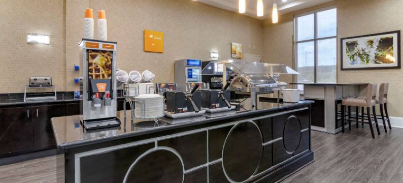 佛伦伦萨I-95舒适套房酒店(Comfort Suites Florence I-95)图片