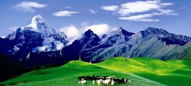 四姑娘山小桥流水人家客栈图片