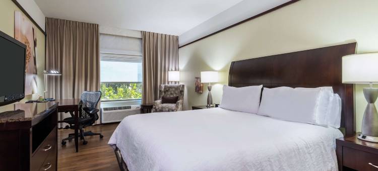 西棕榈滩机场希尔顿花园旅馆(Hilton Garden Inn West Palm Beach Airport)图片
