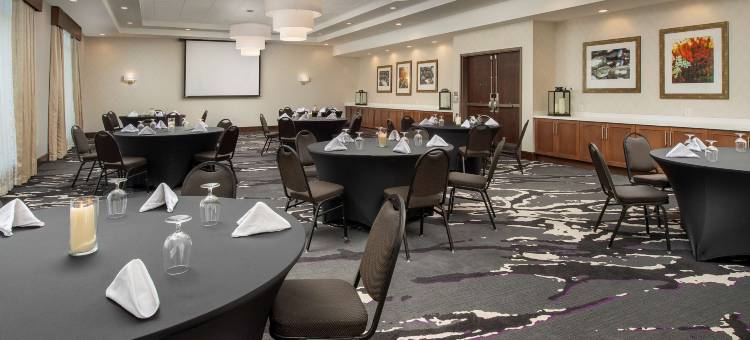 夏洛特机场希尔顿花园酒店(Hilton Garden Inn Charlotte Airport)图片