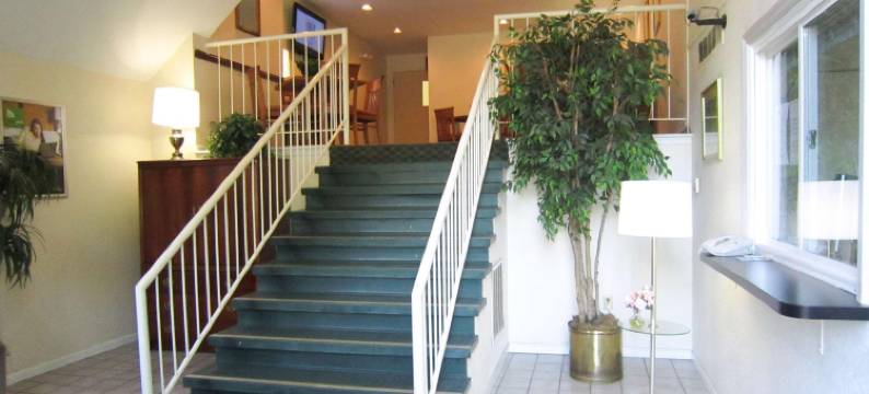 哥伦布东郊区开间公寓(Suburban Studios Columbus East)图片