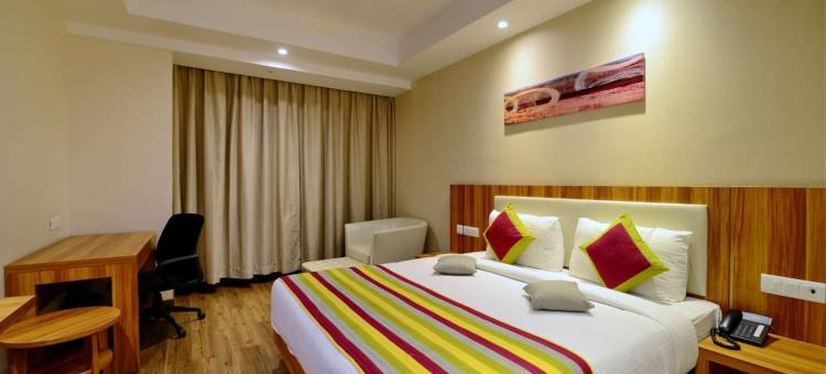 拉普国王酒店(Hotel le Roi Raipur at Raipur Railway Station)图片