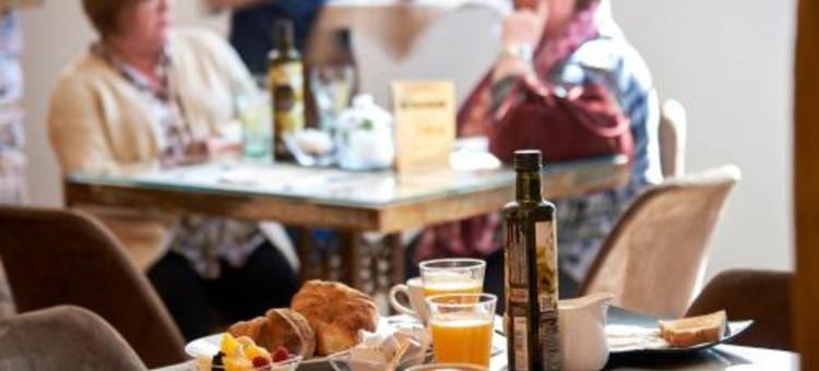 芬卡拉卡索纳高级客房酒店(Habitaciones Premium Finca la Casona)图片