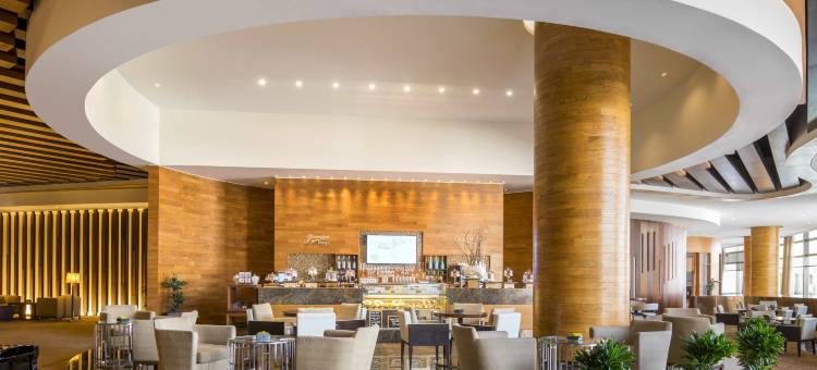 古赖尔瑞士酒店(Swissôtel Al Ghurair)图片