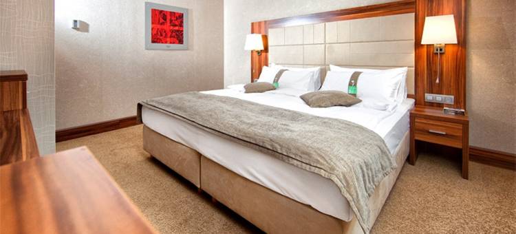 Holiday Inn 特尔纳瓦(Holiday Inn Trnava)图片