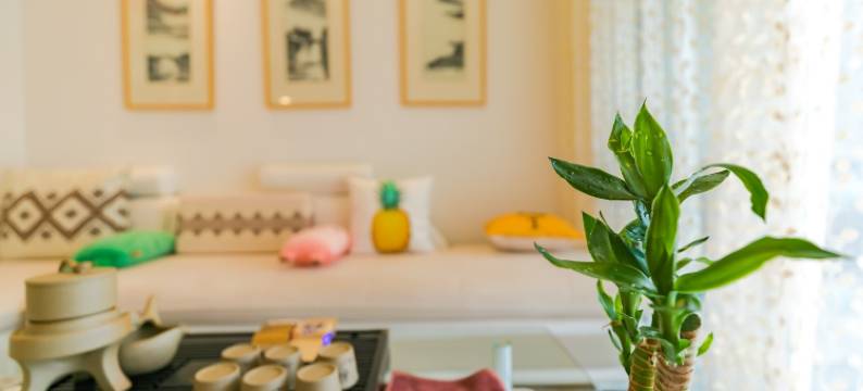 513之家公寓(安国大道1号分店)图片