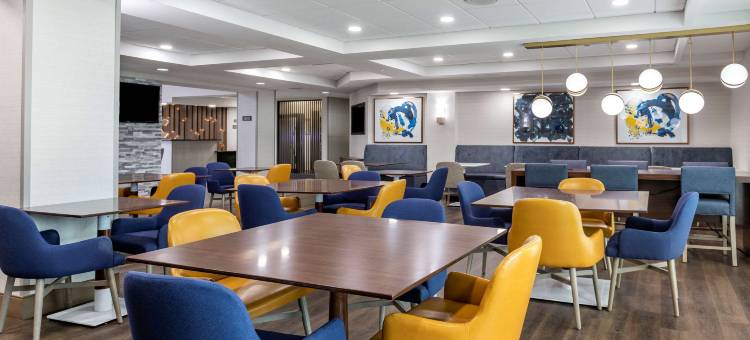 舒适套房酒店大布兰克/弗林特(Comfort Inn & Suites Grand Blanc-Flint)图片