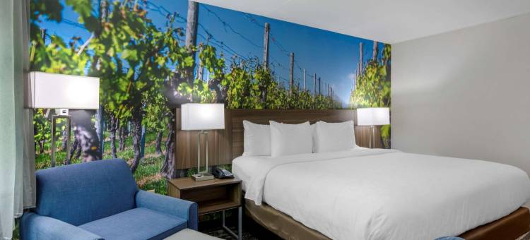 克拉丽奥波因特夏洛茨维尔酒店(Clarion Pointe Charlottesville)图片