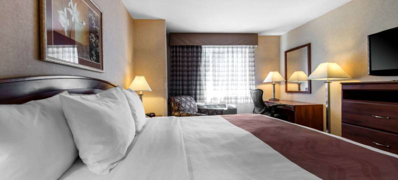 凯艺酒店(Quality Inn)图片