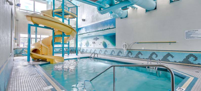 南部舒适酒店(Comfort Inn & Suites South)图片