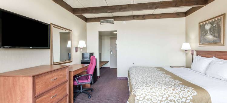 奈尔斯温德姆戴斯酒店(Days Inn by Wyndham Niles)图片