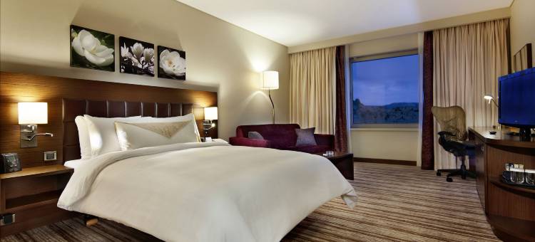 科尼亚希尔顿花园酒店(Hilton Garden Inn Konya)图片
