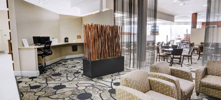 圣彼得堡北克利尔沃特假日酒店(Holiday Inn ST. Petersburg N- Clearwater)图片