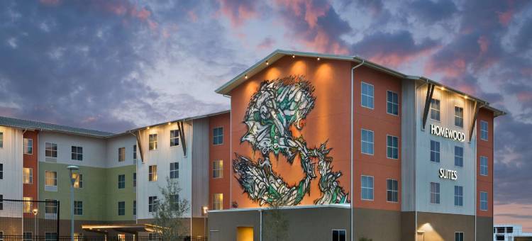 泰克里帕默@I-35Homewood Suites by Hilton(Homewood Suites by Hilton TechRidge Parmer @ I-35)图片