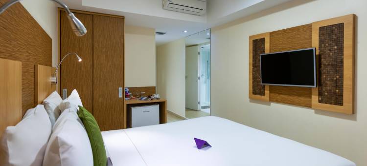 马塞约帕尤卡拉美居酒店(Mercure Maceio Pajucara)图片