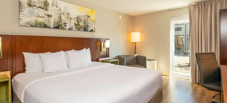 舒适酒店-西部(Comfort Inn West)图片