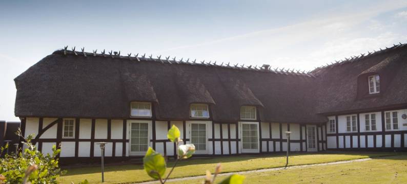 赫尔南玛瑟丽思酒店(Helnan Marselis Hotel)图片