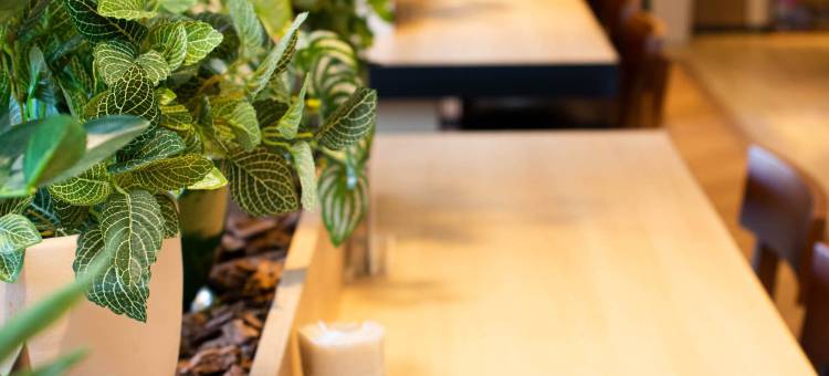 御殿场超级酒店1号(Super Hotel Gotemba 1)图片