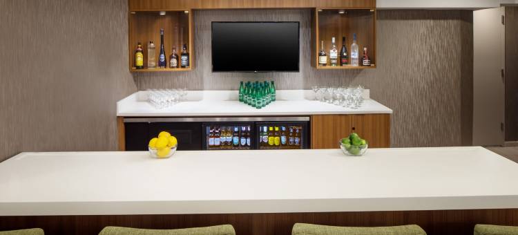 SpringHill Suites by Marriott New York JFK Airport/Jamaica图片