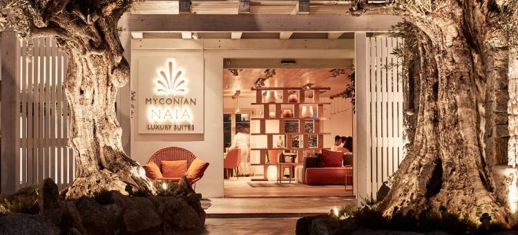 迈柯尼昂奈雅 - 优选酒店及度假村(Myconian Naia - Preferred Hotels & Resorts)图片
