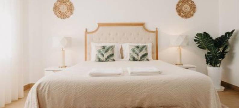 Quinta Monteiro de Matos - Enoturismo图片