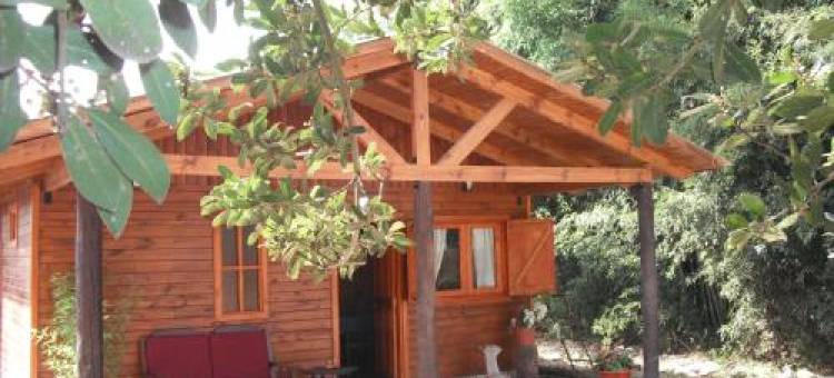 卡巴·帕莱索(Cabañas El Paraiso)图片