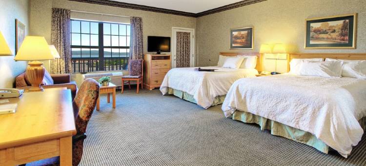 希尔顿欢朋套房酒店-佩托斯基(Hampton Inn & Suites Petoskey)图片