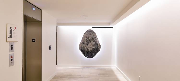 达拉斯HALL艺术酒店-希尔顿精选(Hall Arts Hotel Dallas, Curio Collection by Hilton)图片