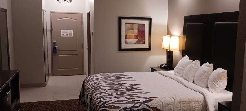 朗维尤红顶套房酒店(Red Roof Inn & Suites Longview)图片