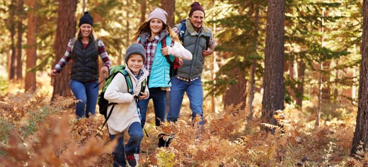 里布戴娜丝缇套房酒店(Dynasty Suites Hotel)图片