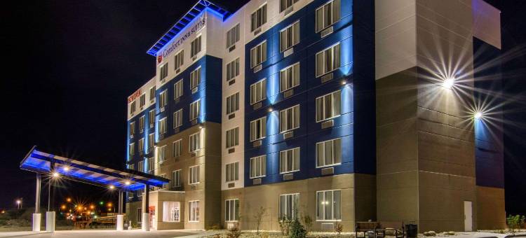 舒适套房酒店(Comfort Inn & Suites)图片