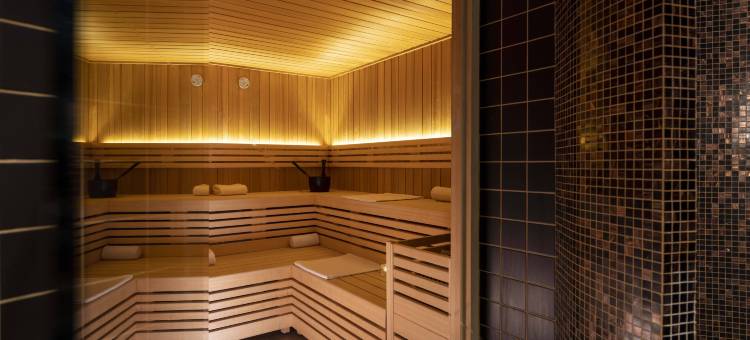 麦哲伦别墅 Spa 酒店(Villa Magalean Hotel and Spa)图片