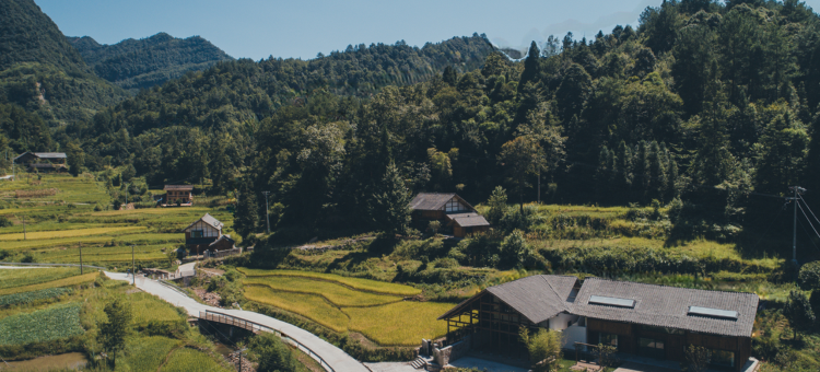 隐居乡里·梧桐山民宿图片
