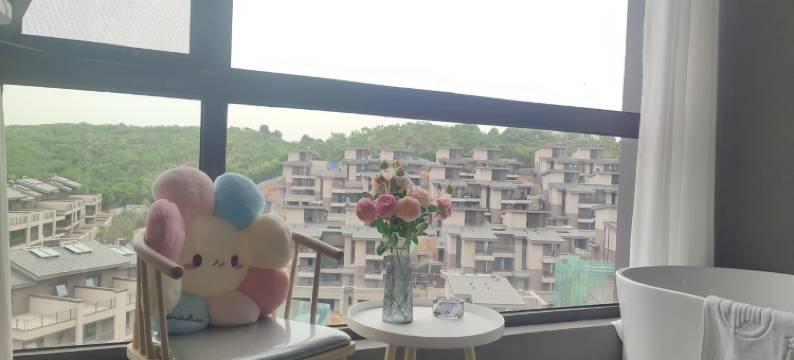 陆菲公寓(周汤线分店)图片