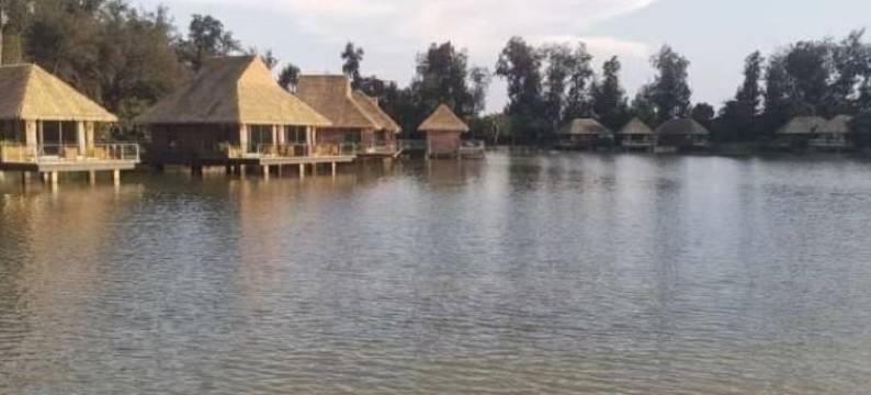 九珑湖花姐公寓(昆九路分店)图片