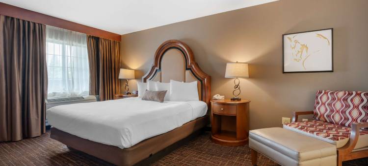 新兴都市娱乐场贝斯特韦斯特优质酒店(Best Western Plus Boomtown Casino Hotel)图片