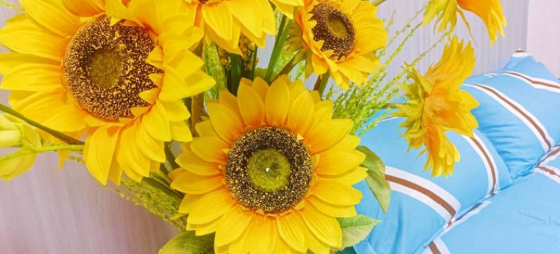 栖心居嘉峪关民宿(河口西路分店)图片