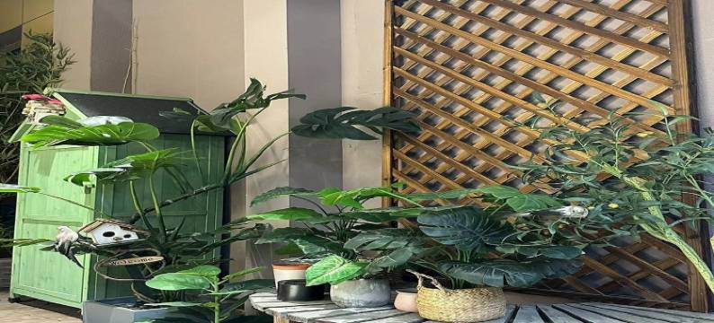 悠家1206九龙湾度假别墅(花海路分店)图片