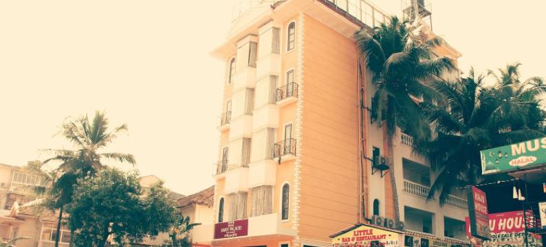 萨渥伊宫酒店(Hotel Savoy Palacio)图片