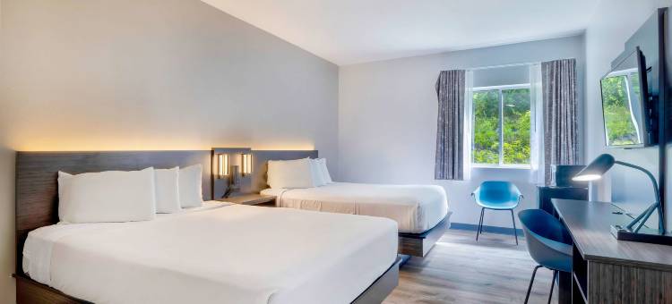 康乃狄格贝瑟尔- 丹伯里 6号汽车旅馆(Motel 6 Bethel, CT - Danbury)图片