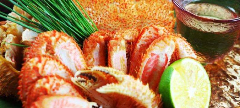 渚之奏 夕鹤(Yuuzuru)图片