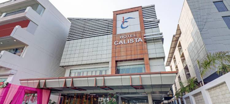 Treebo Calista, Patel Nagar图片