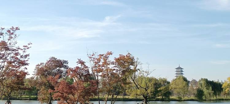 馨园小筑民宿(烟花三月路分店)图片
