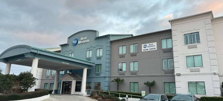 休斯敦乔治布什洲际机场贝斯特韦斯特酒店(Best Western Houston Bush InterContinental Airport Inn)图片