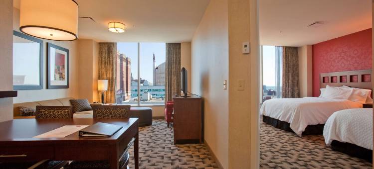 布法罗希尔顿安泊酒店(Embassy Suites by Hilton Buffalo)图片
