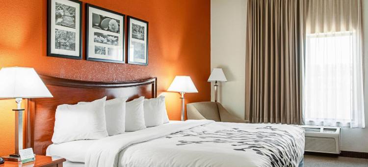 霍布斯的舒眠茵套房酒店(Sleep Inn & Suites)图片