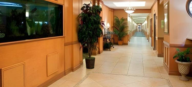 智选假日套房酒店端口ARANSAS /海滩区(Holiday Inn Express & Suites Port Aransas/Beach Area)图片