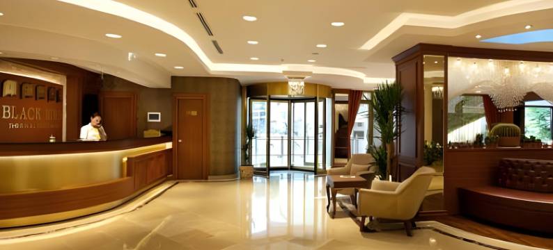 黑鸟温泉水疗酒店(Black Bird Thermal Hotel & Spa)图片