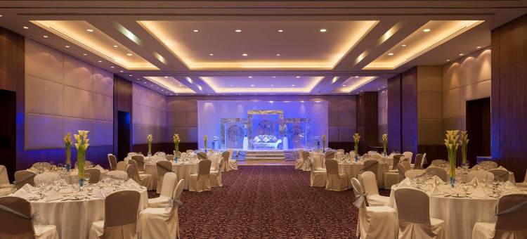 阿布扎比亚斯岛丽笙酒店(Radisson Blu Hotel, Abu Dhabi Yas Island)图片